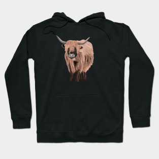 Highland Cow Hoodie